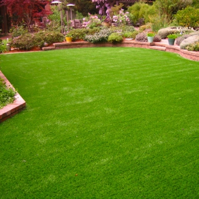 Artificial Turf Cost La Union, New Mexico Landscape Ideas, Small Backyard Ideas