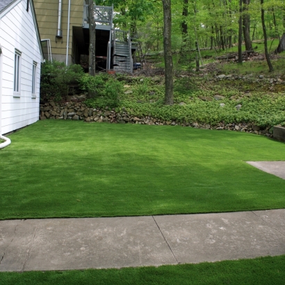 Artificial Turf Cost Sheep Springs, New Mexico Lawn And Garden, Front Yard Landscaping