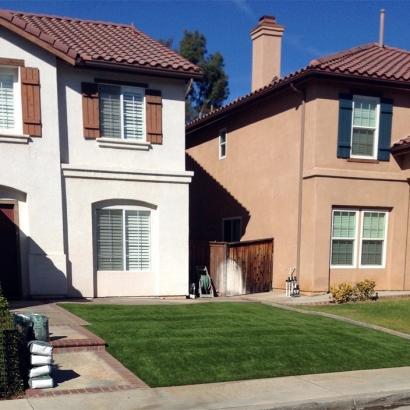 Artificial Turf Cost Springer, New Mexico Landscape Photos, Front Yard Ideas