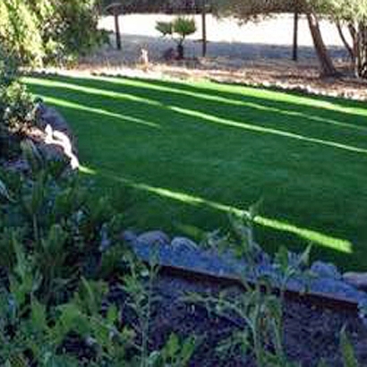 Artificial Turf Elida, New Mexico City Landscape, Backyard Landscaping