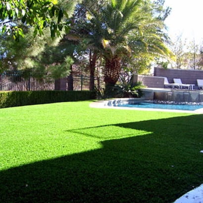 Artificial Turf Lyden, New Mexico Landscape Photos, Backyard Designs