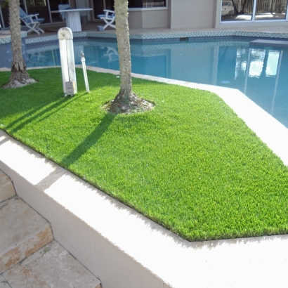 Artificial Turf San Ysidro, New Mexico Lawns, Backyard Landscaping