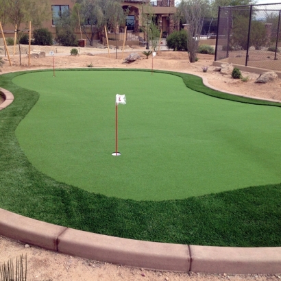 Best Artificial Grass Gila, New Mexico Putting Green Turf, Backyard Design