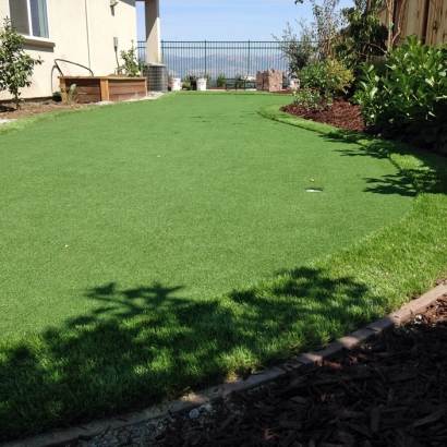 Best Artificial Grass Hernandez, New Mexico Roof Top, Backyard Landscaping Ideas