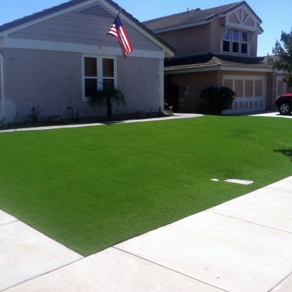 Best Artificial Grass Rio Lucio, New Mexico Lawns, Front Yard