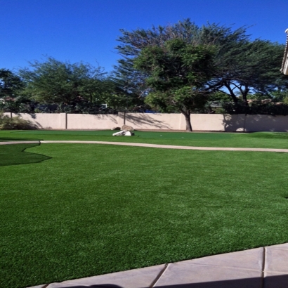 Best Artificial Grass Sena, New Mexico Backyard Deck Ideas, Front Yard Design