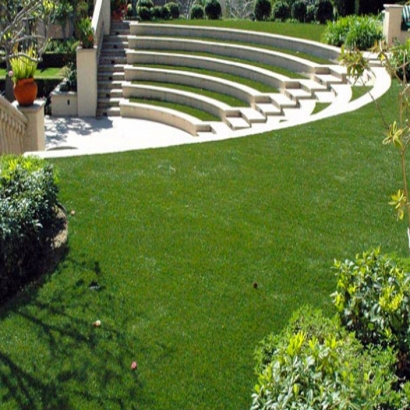 Best Artificial Grass Tecolote, New Mexico Landscaping