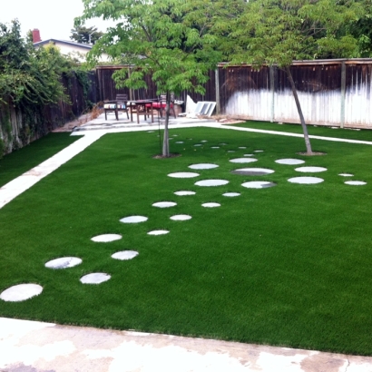 Fake Grass Alamo, New Mexico Rooftop, Backyard Landscaping