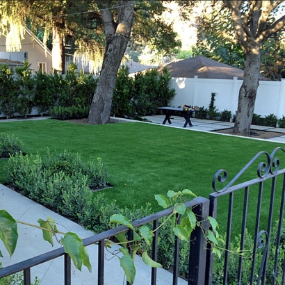 Fake Grass Carpet Cimarron, New Mexico Lawn And Landscape, Front Yard Landscaping