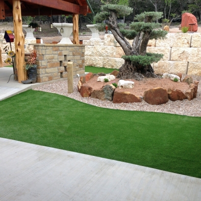 Fake Grass Carpet Mimbres, New Mexico Garden Ideas, Small Backyard Ideas