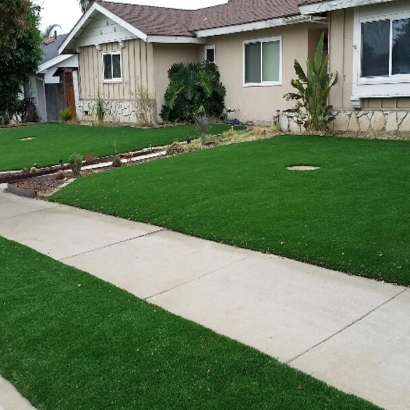 Fake Grass Carpet Playas, New Mexico Rooftop, Front Yard Design