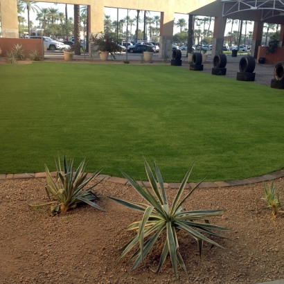 Fake Grass Carpet Sandia Knolls, New Mexico Backyard Playground, Commercial Landscape