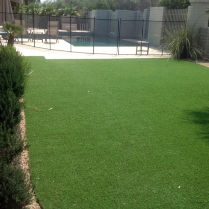 Fake Grass Carpet Sena, New Mexico Landscape Ideas, Swimming Pool Designs