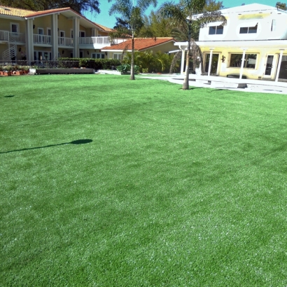 Fake Grass Ruidoso, New Mexico Landscape Ideas, Natural Swimming Pools