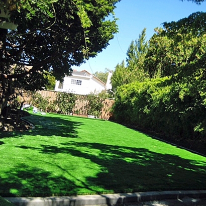 Fake Lawn Cochiti, New Mexico Lawn And Landscape, Backyard Design