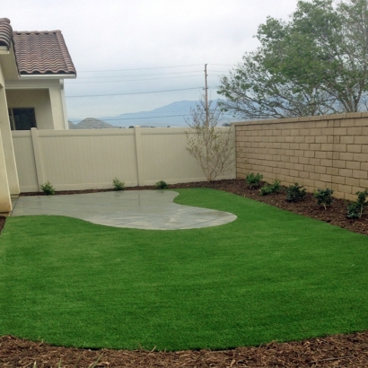 Fake Lawn Mesilla, New Mexico Home And Garden, Backyard Landscaping