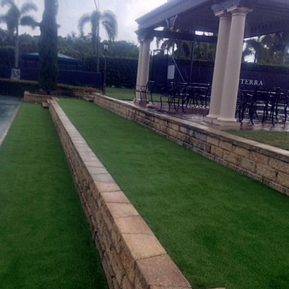 Fake Turf Capulin, New Mexico Home And Garden, Commercial Landscape