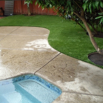 Fake Turf El Rancho, New Mexico Landscape Ideas, Backyard Design