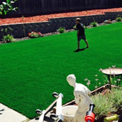 Fake Turf Logan, New Mexico Landscape Ideas, Backyard Makeover