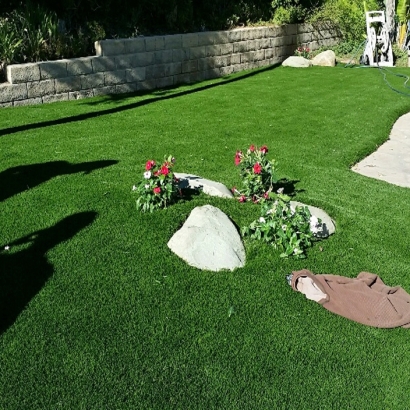 Fake Turf Loving, New Mexico Garden Ideas, Small Front Yard Landscaping