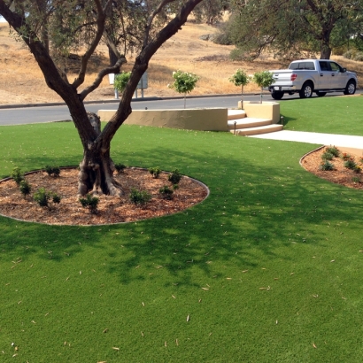 Faux Grass Hanover, New Mexico Paver Patio, Front Yard Design