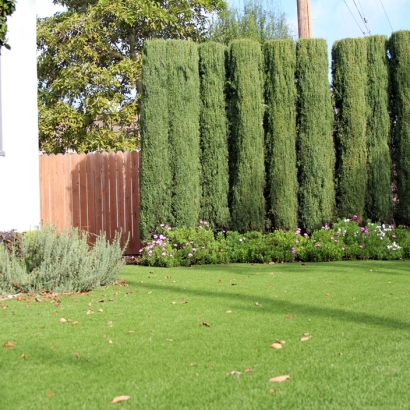 Faux Grass Newcomb, New Mexico Lawn And Garden, Landscaping Ideas For Front Yard