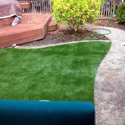 Faux Grass Taos Ski Valley, New Mexico Lawn And Landscape, Backyard Design