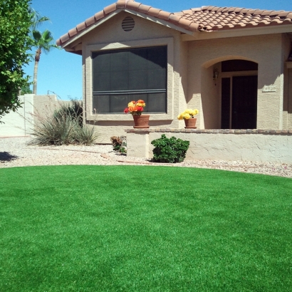 Grass Carpet Jacona, New Mexico Gardeners, Front Yard Ideas