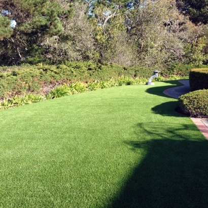 Grass Carpet Puerto De Luna, New Mexico Design Ideas, Front Yard Landscape Ideas