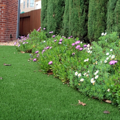 Grass Carpet Waterflow, New Mexico Design Ideas, Front Yard Landscaping Ideas