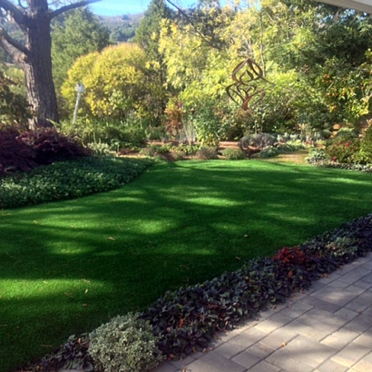 Grass Installation Encino, New Mexico Landscape Ideas, Backyard Landscape Ideas