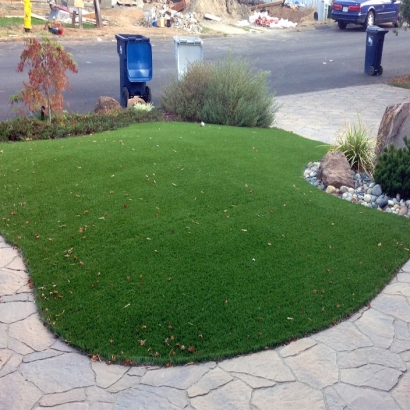 Grass Turf Vadito, New Mexico Landscape Photos