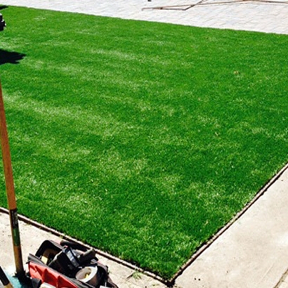 Outdoor Carpet Folsom, New Mexico Lawn And Garden