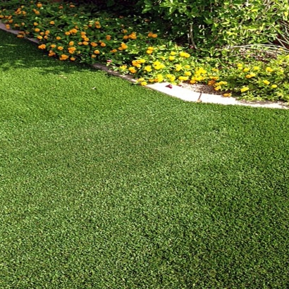 Outdoor Carpet La Jara, New Mexico Garden Ideas, Front Yard Ideas