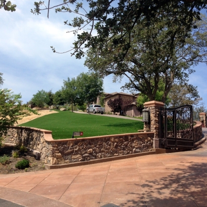 Outdoor Carpet Manzano, New Mexico Lawn And Garden, Front Yard Design