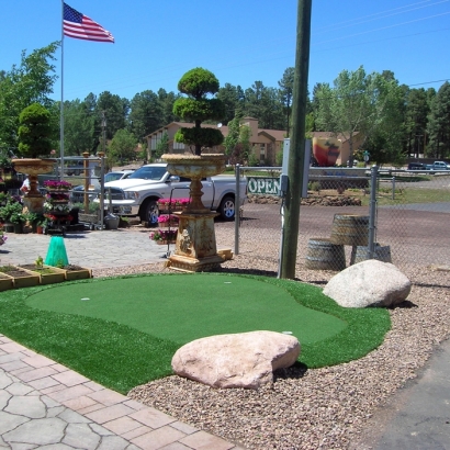 Outdoor Carpet Wagon Mound, New Mexico Indoor Putting Green, Commercial Landscape