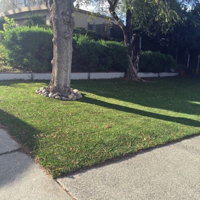 Plastic Grass Cobre, New Mexico Lawn And Landscape, Front Yard