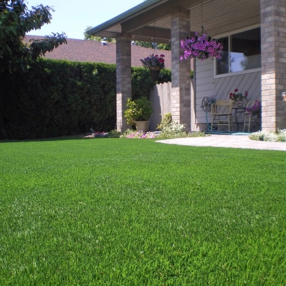 Plastic Grass Eagle Nest, New Mexico Landscape Design, Front Yard Landscaping Ideas