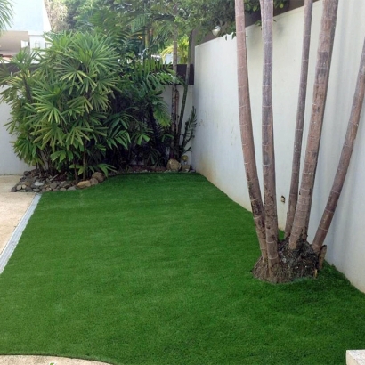 Plastic Grass Los Lunas, New Mexico Home And Garden, Small Backyard Ideas