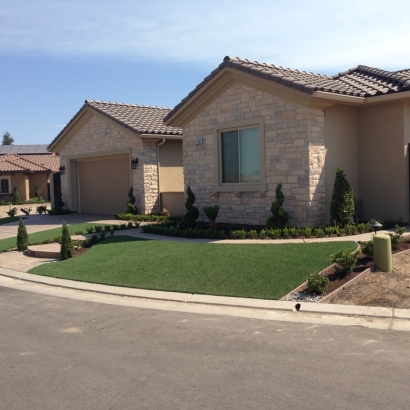 Plastic Grass Ponderosa, New Mexico Landscape Design, Landscaping Ideas For Front Yard