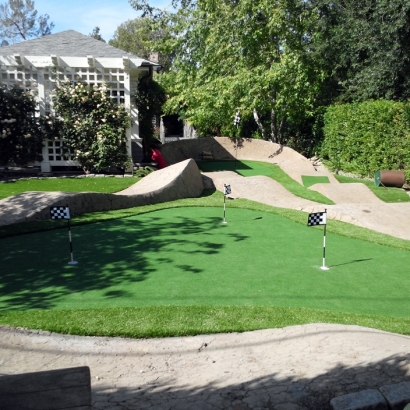 Synthetic Grass Corrales, New Mexico Rooftop, Backyard Designs