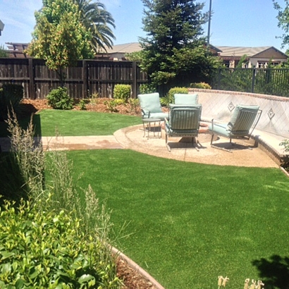 Synthetic Grass Cost Santa Teresa, New Mexico Landscape Photos, Backyard Ideas