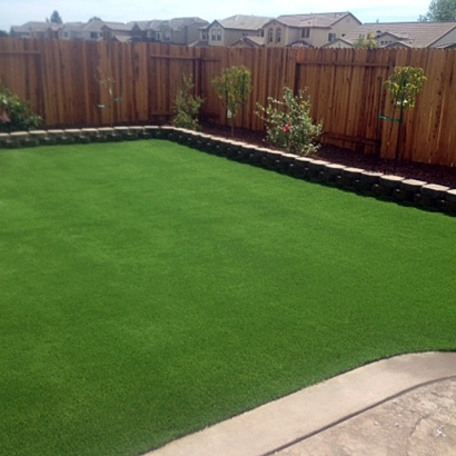 Synthetic Grass Cost Socorro, New Mexico Design Ideas, Small Backyard Ideas