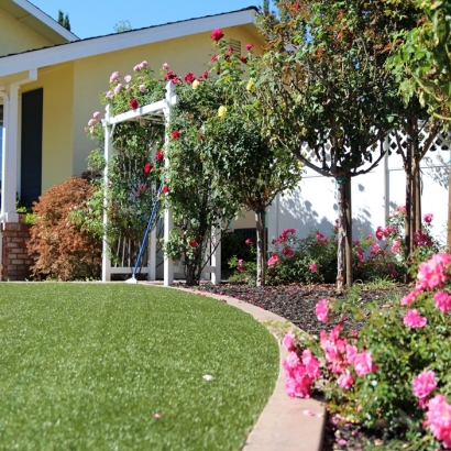 Synthetic Lawn Isleta Village Proper, New Mexico City Landscape, Small Front Yard Landscaping