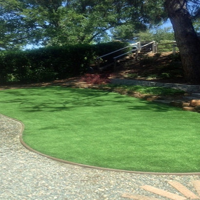 Synthetic Lawn Magdalena, New Mexico Backyard Deck Ideas, Backyard Design