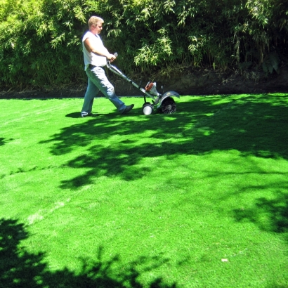 Synthetic Turf La Joya, New Mexico Landscaping Business, Backyard Makeover