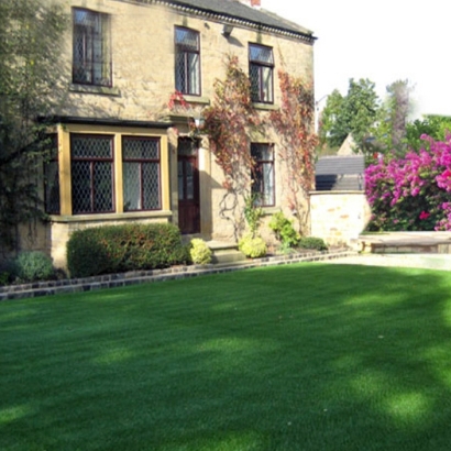 Synthetic Turf Pastura, New Mexico Landscaping Business, Front Yard Ideas