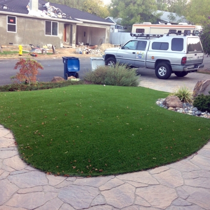 Synthetic Turf Rio En Medio, New Mexico Roof Top, Front Yard Landscape Ideas