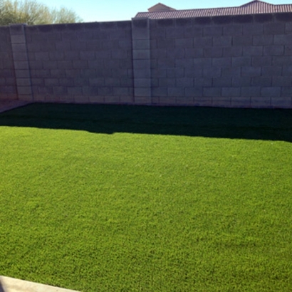 Synthetic Turf Supplier Mescalero, New Mexico Home And Garden, Backyard Garden Ideas