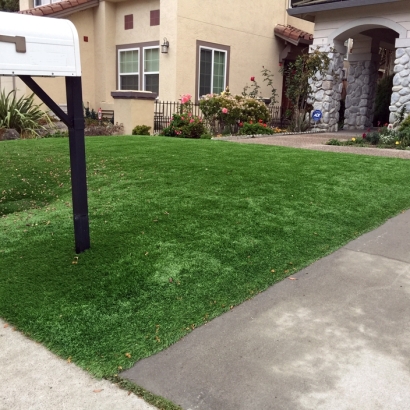 Synthetic Turf Supplier Rock Springs, New Mexico Landscape Photos, Small Front Yard Landscaping